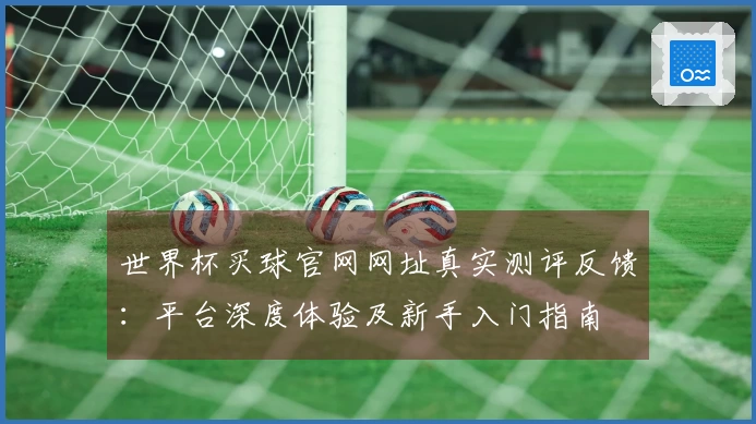 世界杯买球官网网址真实测评反馈:平台深度体验及新手入门指南