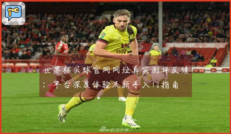 世界杯买球官网网址真实测评反馈：平台深度体验及新手入门指南