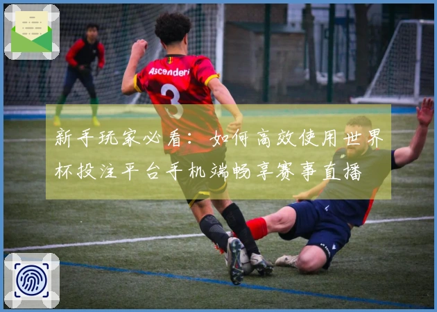 新手玩家必看：如何高效使用世界杯投注平台手机端畅享赛事直播