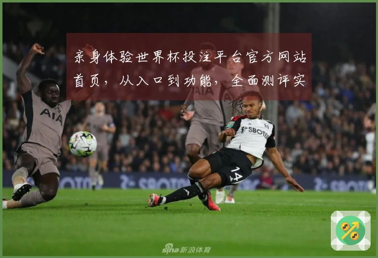 亲身体验世界杯投注平台官方网站首页，从入口到功能，全面测评实用指南