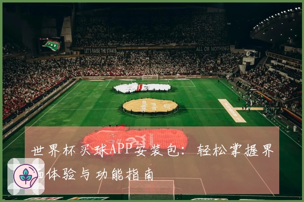 世界杯买球APP安装包：轻松掌握界面体验与功能指南