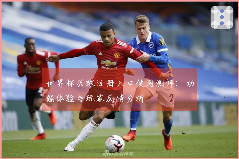 世界杯买球注册入口使用测评：功能体验与玩家反馈分析
