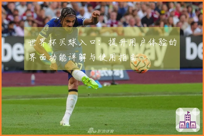 世界杯买球入口：提升用户体验的界面功能详解与使用指南
