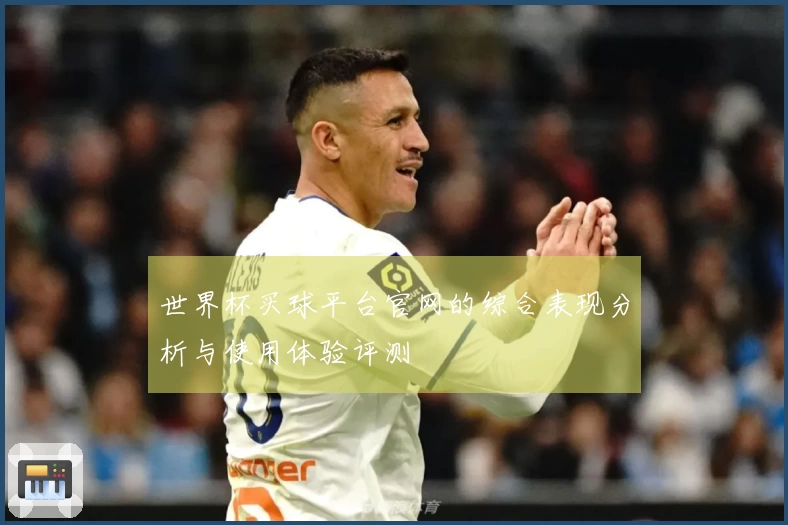 世界杯买球平台官网的综合表现分析与使用体验评测