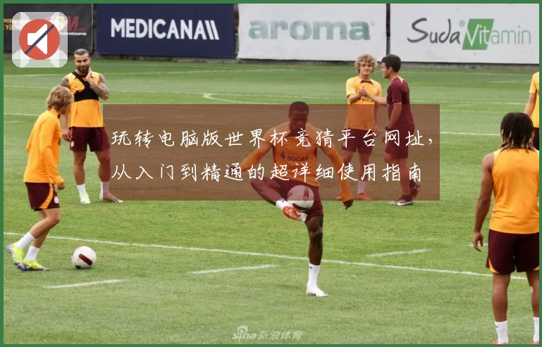 玩转电脑版世界杯竞猜平台网址，从入门到精通的超详细使用指南