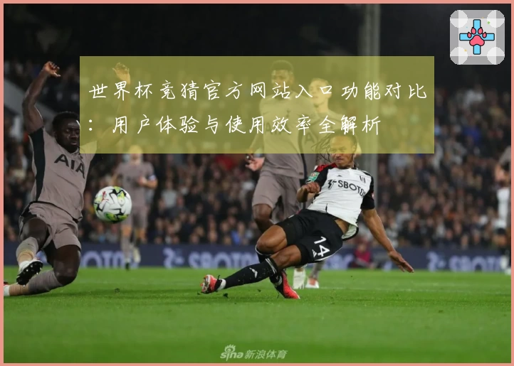 世界杯竞猜官方网站入口功能对比：用户体验与使用效率全解析