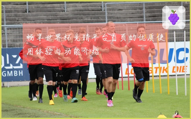 畅享世界杯竞猜平台首页的优质使用体验与功能介绍