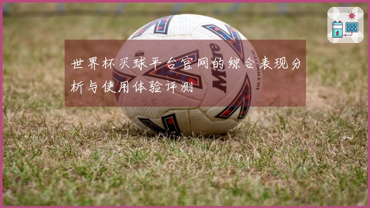 世界杯买球平台官网的综合表现分析与使用体验评测