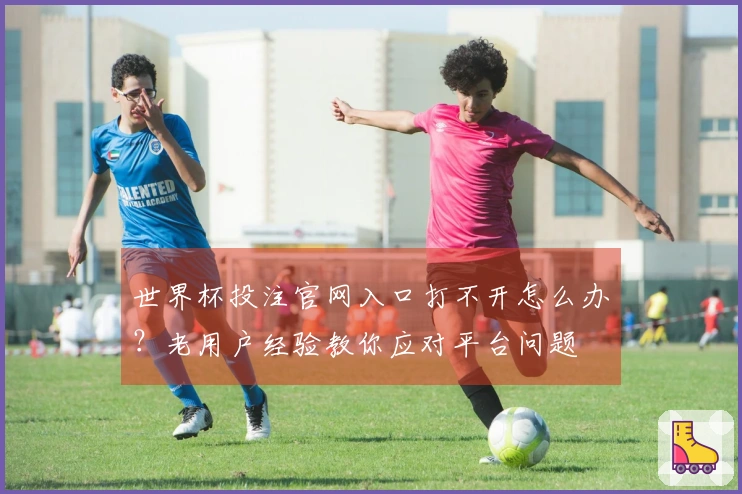 世界杯投注官网入口打不开怎么办？老用户经验教你应对平台问题